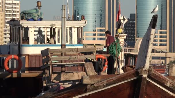 Klassieke dhow schepen in de haven van deira — Stockvideo