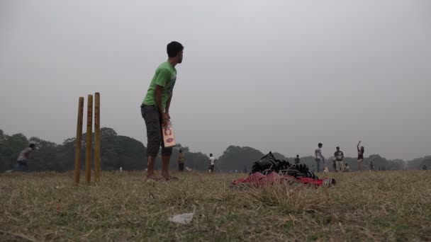 Mannen spelen cricket — Stockvideo