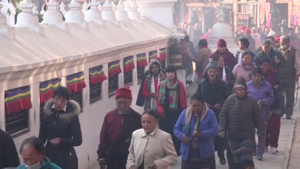 Visitors walk around the Boudhanath stupa — Stock Video