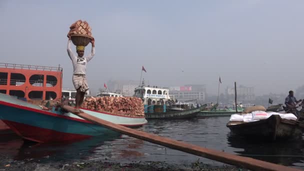 Workers carries a heavy basket of bricks — Stock Video