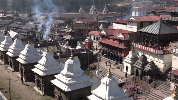 Pashupatinat tempelkomplex i Katmandu — Stockvideo