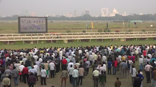 La gente asiste a una carrera de caballos — Vídeo de stock