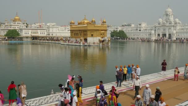 People walk around Golden Temple — Stock Video