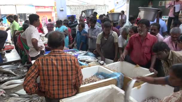 Люди покупают рыбу на рынке — стоковое видео