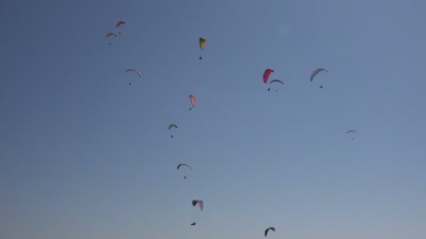 Paragliders circling in the sky in Nepal — Stock Video