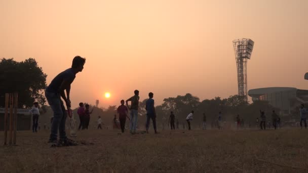 Homens jogar críquete ao pôr do sol — Vídeo de Stock