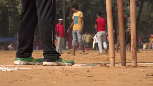 Mannen spelen cricket — Stockvideo