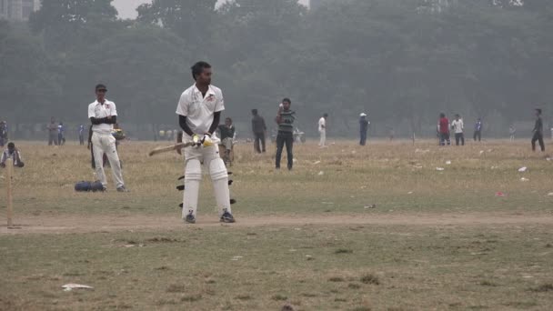 Män spelar cricket — Stockvideo