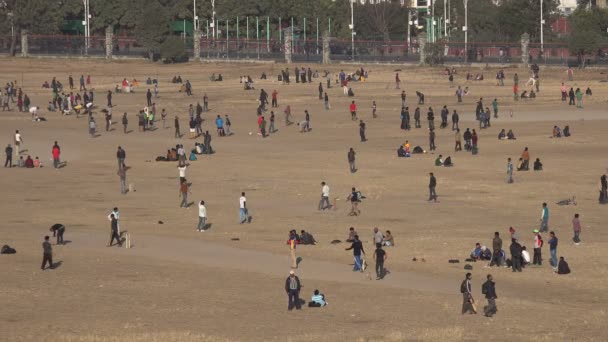 People play cricket and soccer — Stock Video