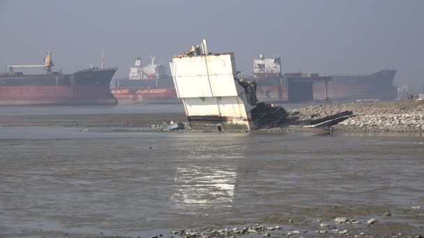 Pescador busca pescado al lado del barco — Vídeos de Stock