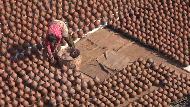 Woman lays pots to dry in the sun — Stock Video