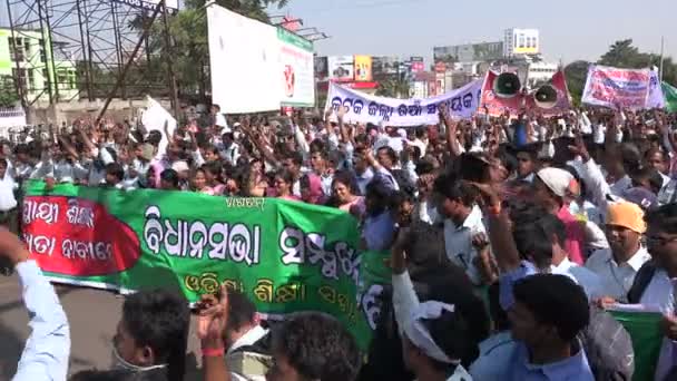 Teachers protest against low wages — Stock Video