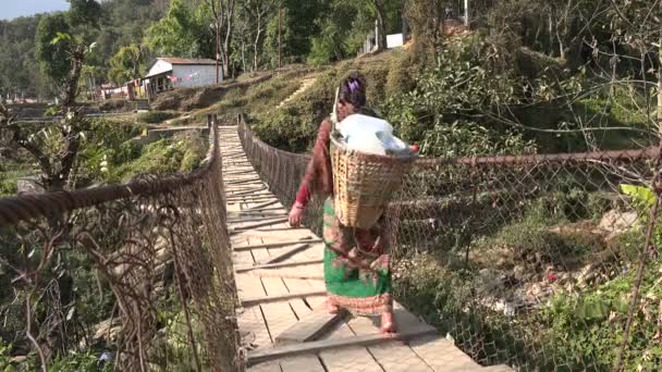 Woman carry basket — Stock Video