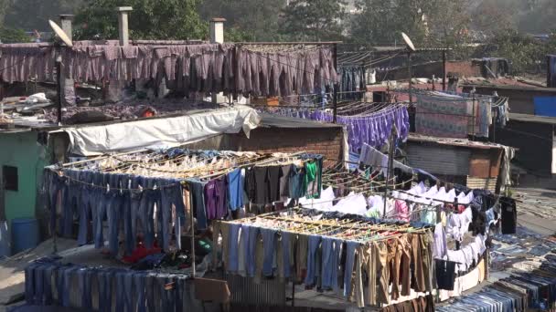 Torkning kläder på dhobi ghat — Stockvideo