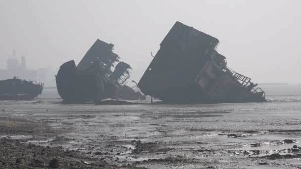 Remains of deconstructed vessels at shipyards — Stock Video