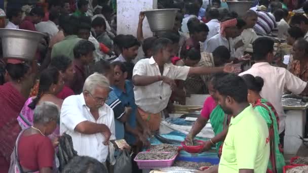 People buy reshly caught fish — Stock Video