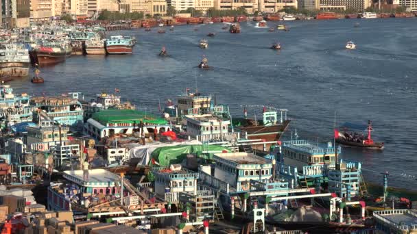 Buques dhow clásicos en el puerto de Deira — Vídeos de Stock