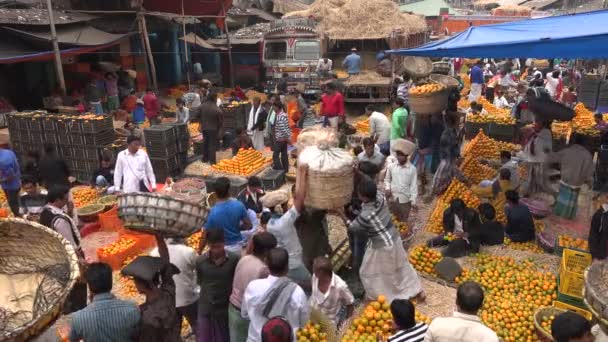 Buah-buahan dan sayuran di pasar di Kolkata — Stok Video