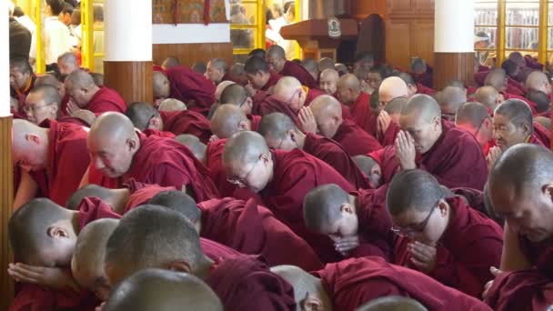 Monks listen to a speech of the Dalai Lama — Stock Video