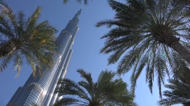 Burj khalifa bakom palmer — Stockvideo