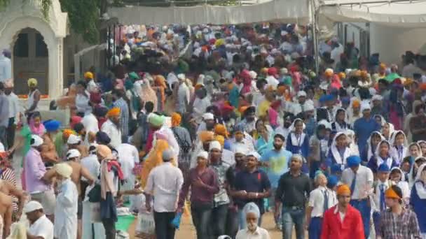 People walk around Golden Temple — Stock Video