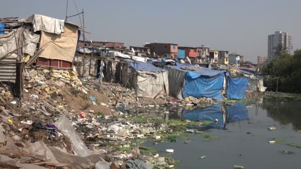 Slum housing and a polluted river — Stock Video