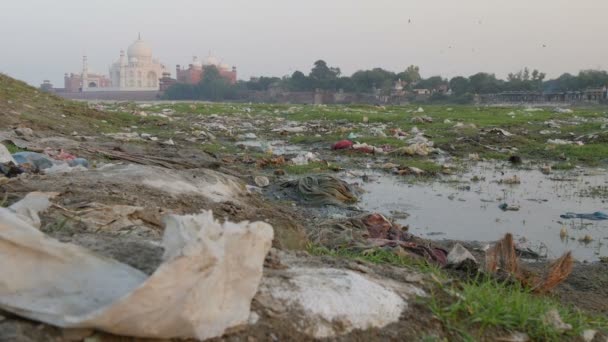 Taj Mahal och den förorenade Yamuna flodbädden — Stockvideo