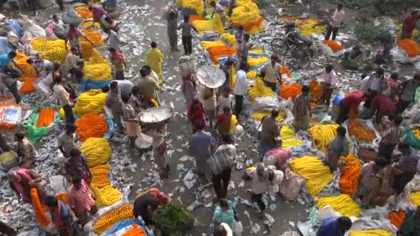 Menschen kaufen Blumen auf dem Markt — Stockvideo