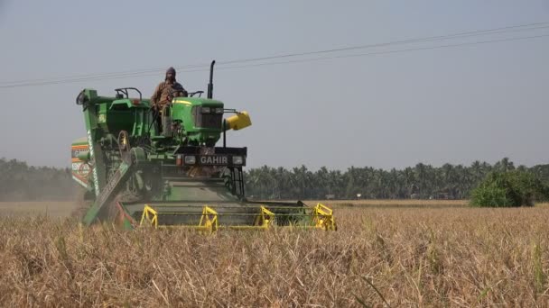 Landwirt setzt Mähdrescher ein — Stockvideo