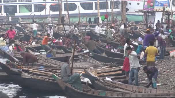 Boatsmen wait for passengers — Stock Video