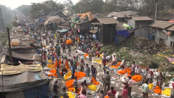 Panoramica del mercato dei fiori di Malik Ghat — Video Stock