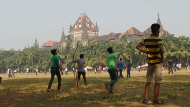 People play cricket — Stock Video