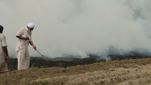 Los agricultores incendian sus tierras — Vídeo de stock