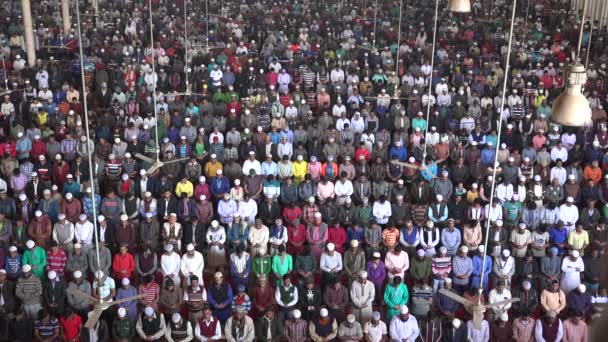 Muslim men attend Friday prayer — Stock Video