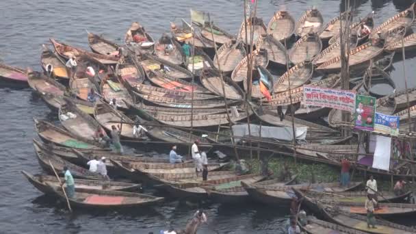 Groups of wooden rowing boats — Stock Video