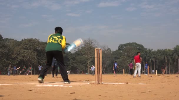 Young men play cricket — Stock Video