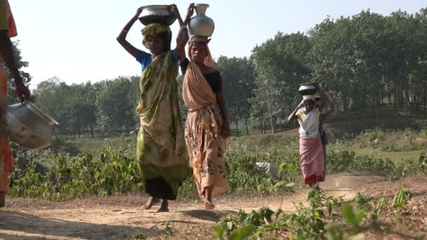 Las mujeres llevan cestas de agua en las cabezas — Vídeo de stock