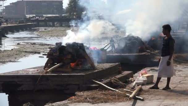 Un custode brucia i resti di una persona deceduta — Video Stock