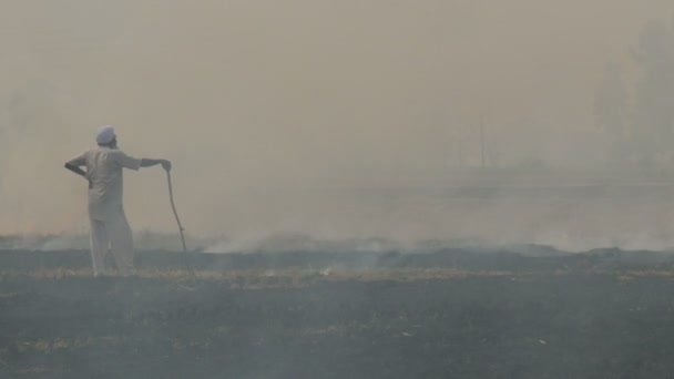 Un granjero mira el campo en llamas — Vídeo de stock