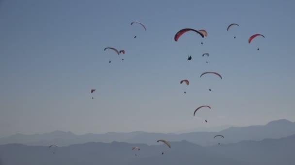 Människor paraglide upp och ner — Stockvideo