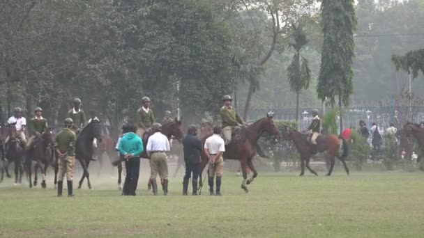 Agentes de polícia a cavalo — Vídeo de Stock