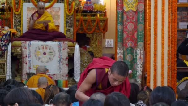 Ein Mönch verteilt Reis — Stockvideo