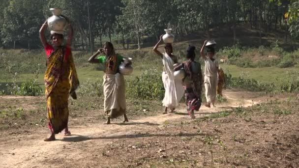 Women carry baskets of water on heads — Stock Video