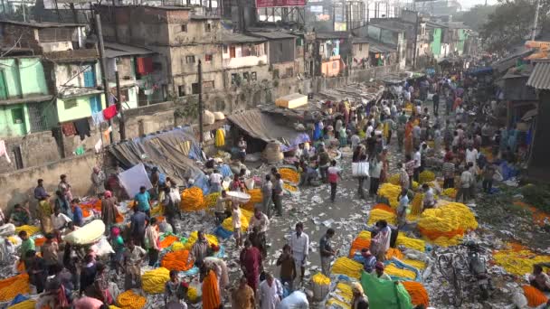 Überblick über den hektischen Blumenmarkt — Stockvideo