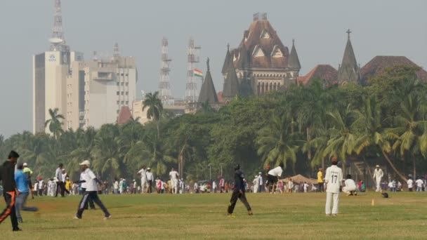 Folk spelar cricket framför universitetet — Stockvideo