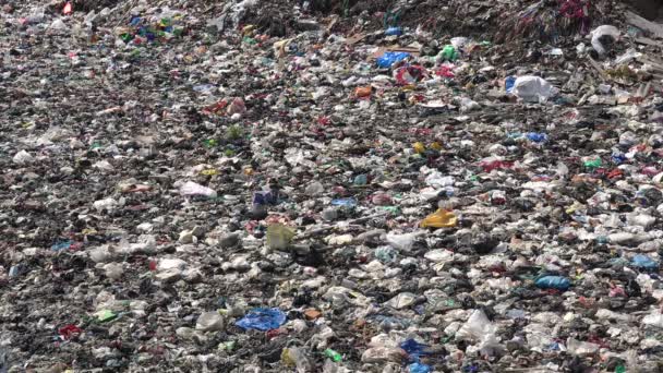 La basura flota a través de un río contaminado — Vídeos de Stock