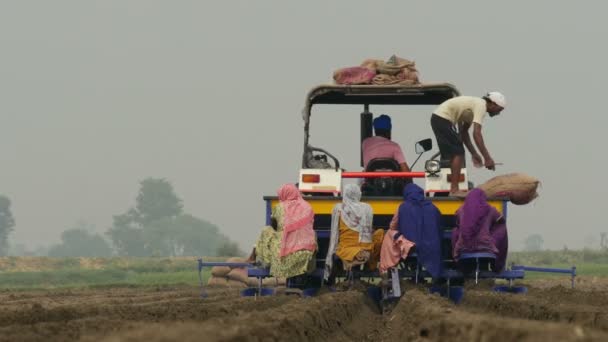 Women plant potatoes at the back of a tractor — Stock Video