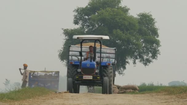 Ο γεωργός χρησιμοποιεί μια συνδυάζουν να συγκομιδή ρυζιού — Αρχείο Βίντεο