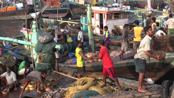 I pescatori lanciano cestini di gamberetti — Video Stock