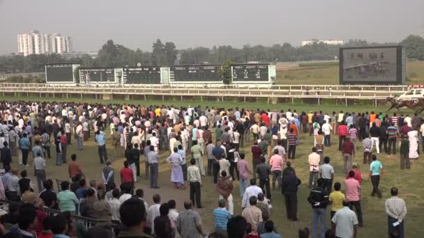 La gente asiste a una carrera de caballos — Vídeo de stock